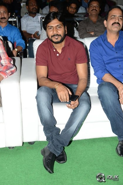 Bengal-Tiger-Movie-Triple-Platinum-Disc-Function